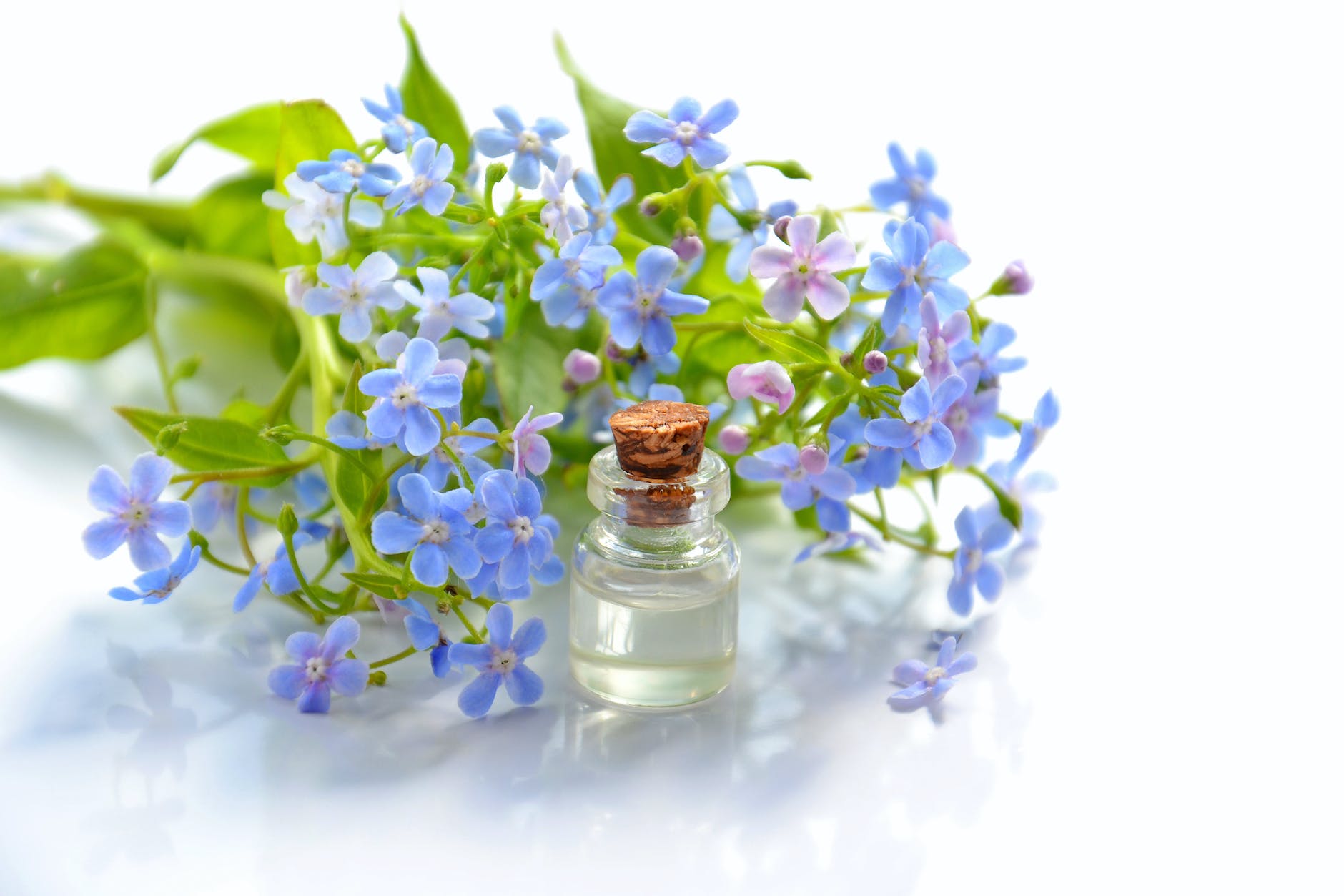 purple flowers beside clear glass bottle