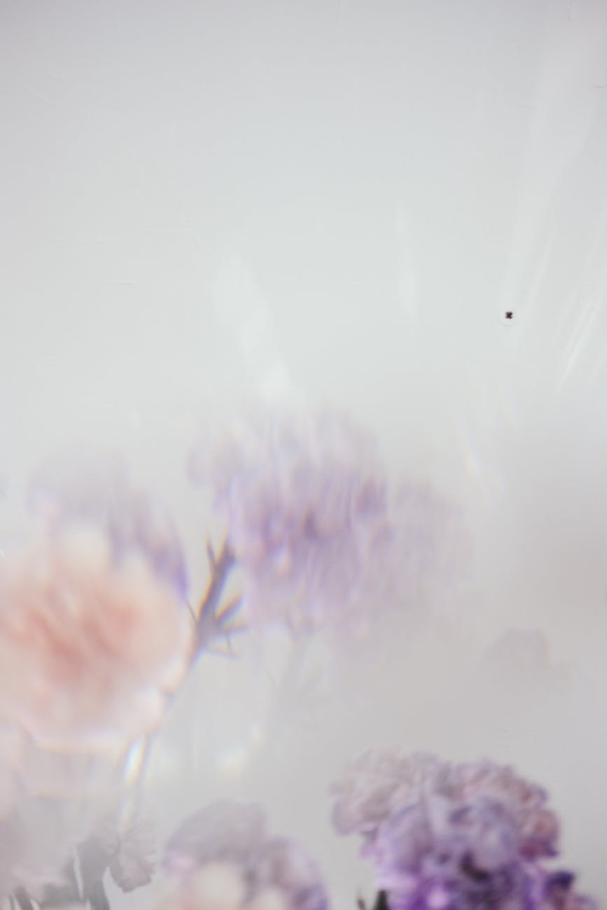 faded shot of flowers