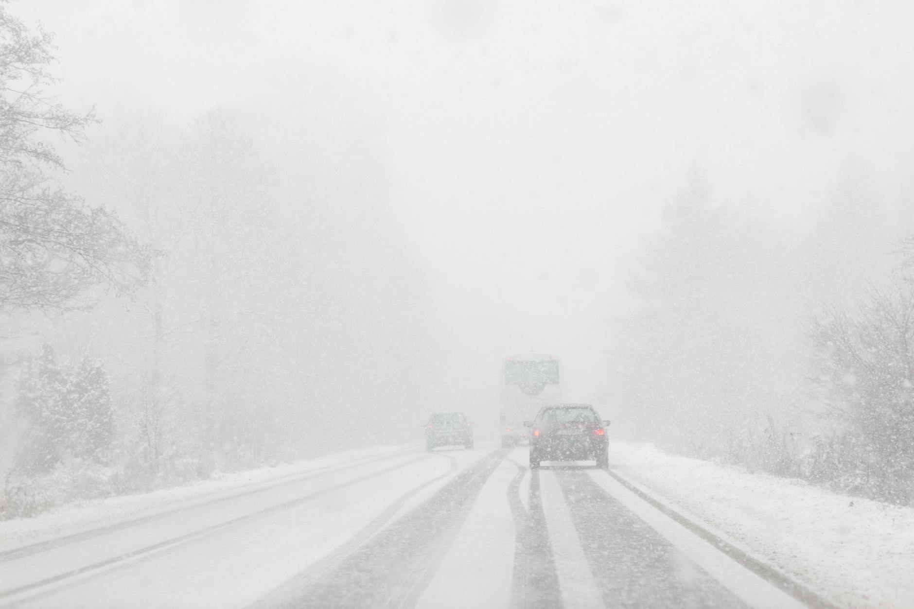 snowfall over road in forest