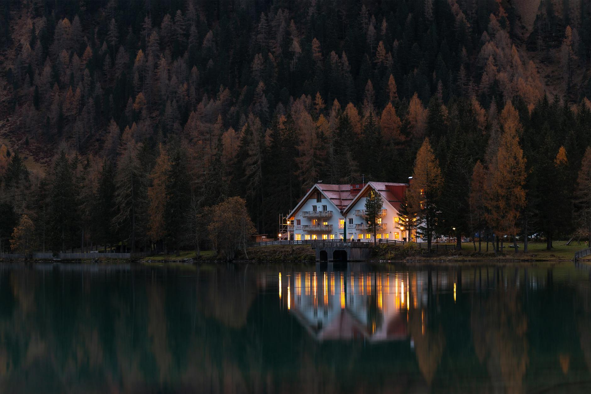 white and red house surrounded by trees at night